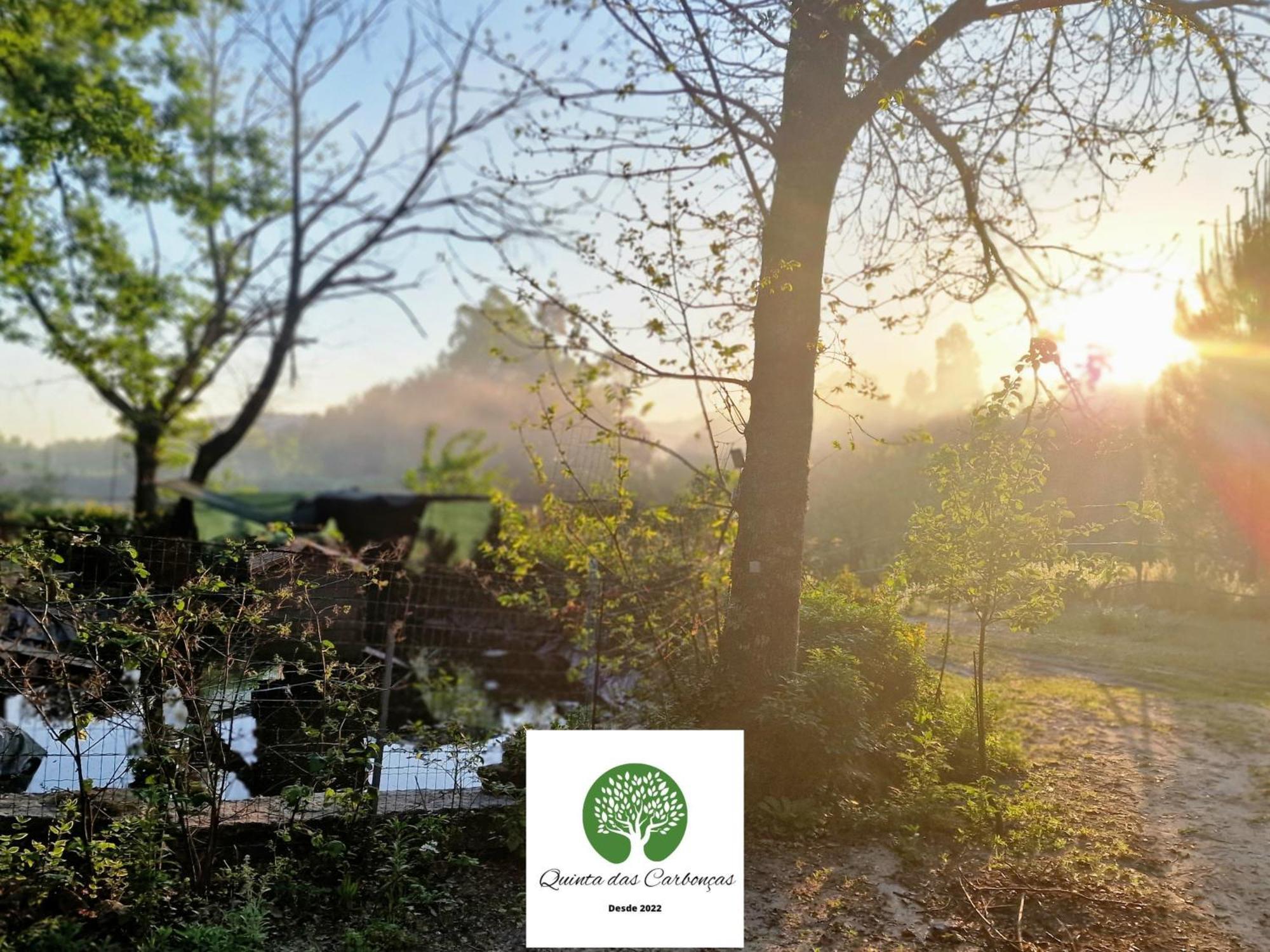 Quinta Das Carboncas Fafe Eksteriør bilde