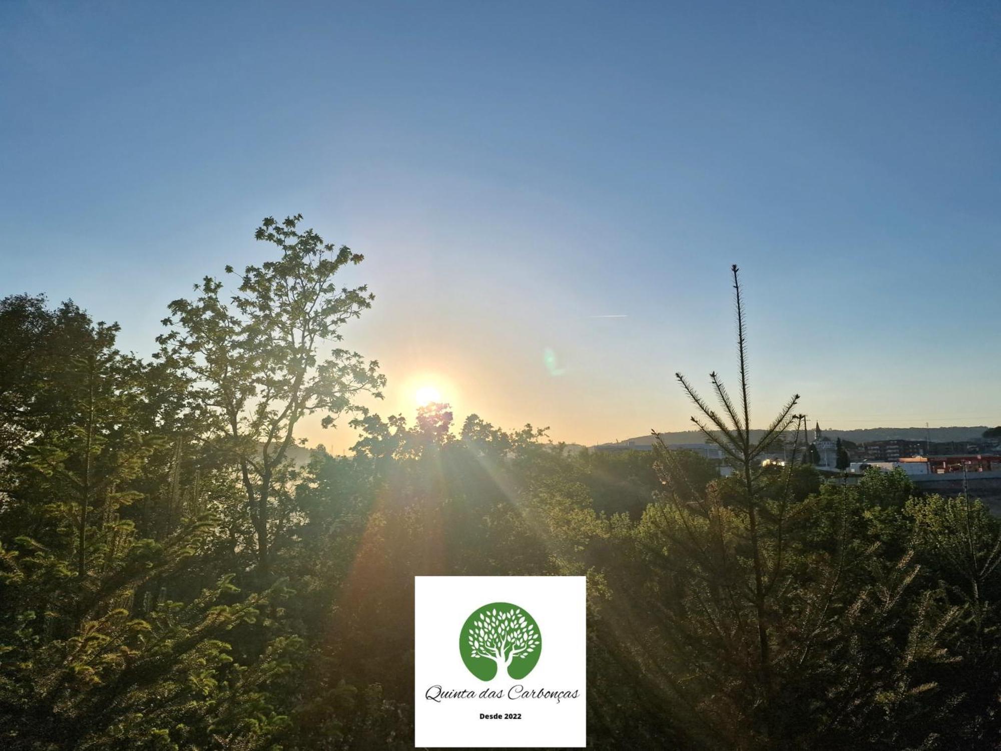 Quinta Das Carboncas Fafe Eksteriør bilde