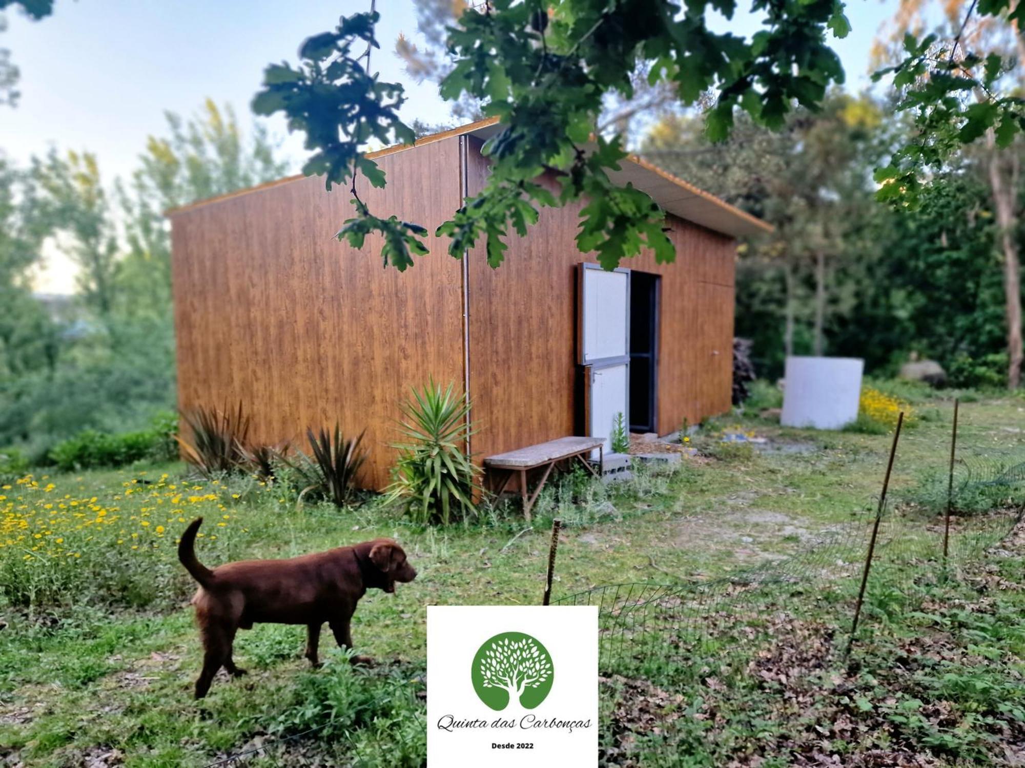 Quinta Das Carboncas Fafe Eksteriør bilde