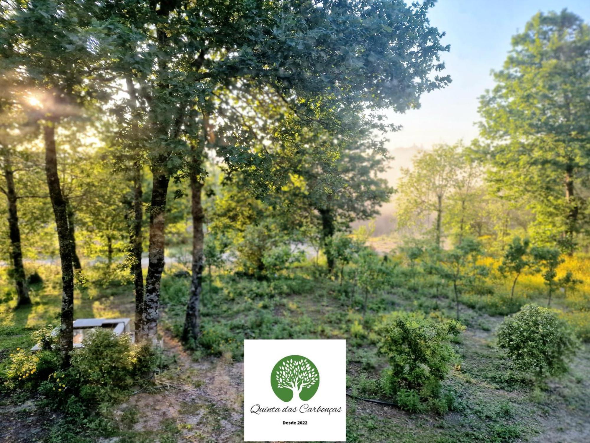 Quinta Das Carboncas Fafe Eksteriør bilde