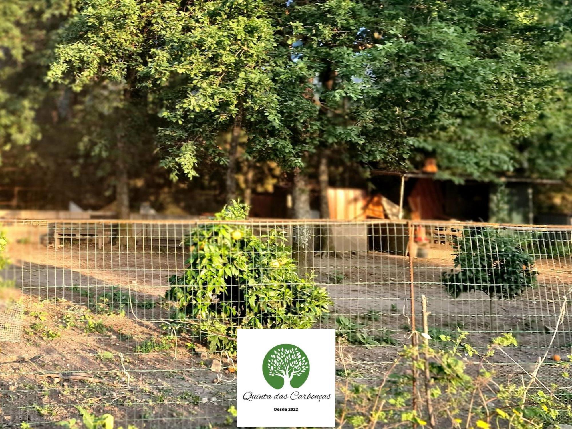 Quinta Das Carboncas Fafe Eksteriør bilde