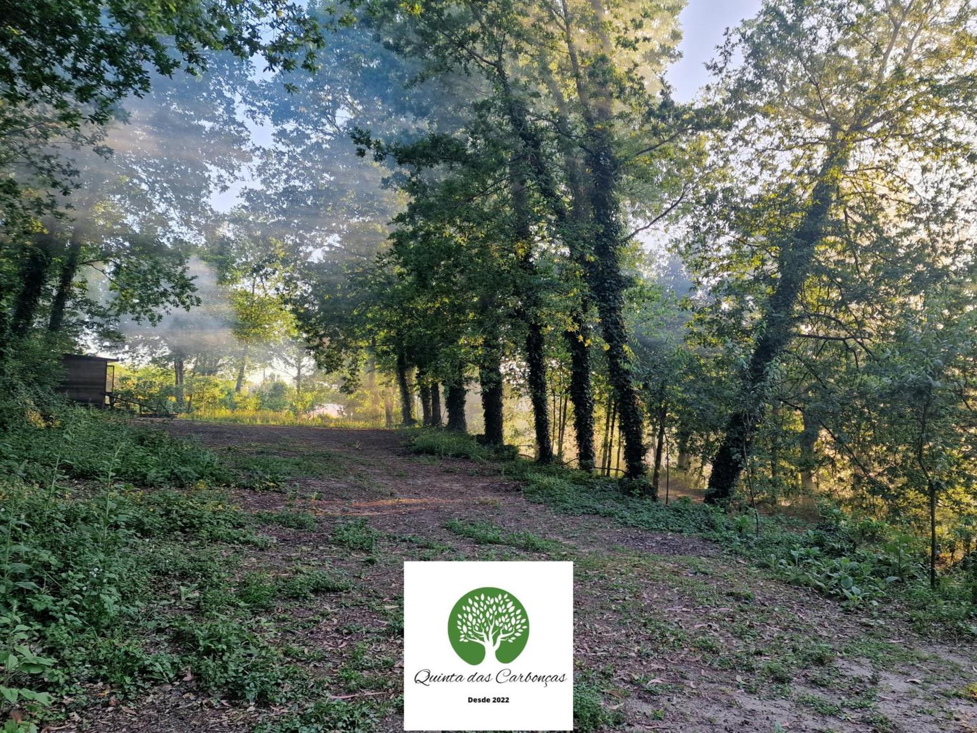 Quinta Das Carboncas Fafe Eksteriør bilde
